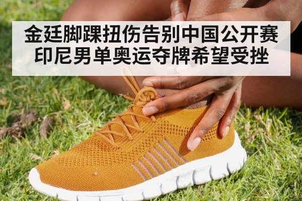 金廷脚踝扭伤告别中国公开赛 印尼男单奥运夺牌希望受挫